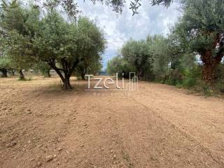 Άποψη οικοπέδου