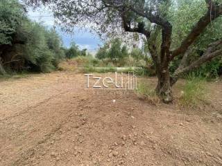 Άποψη οικοπέδου