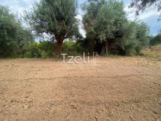 Άποψη οικοπέδου