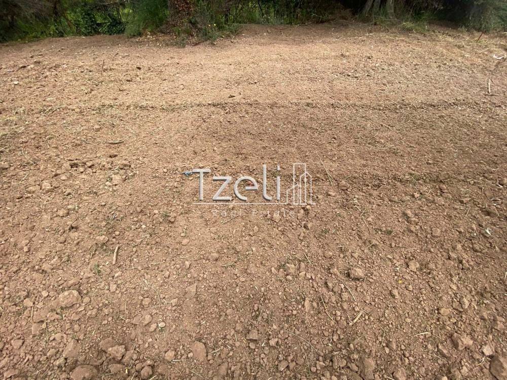 Άποψη οικοπέδου