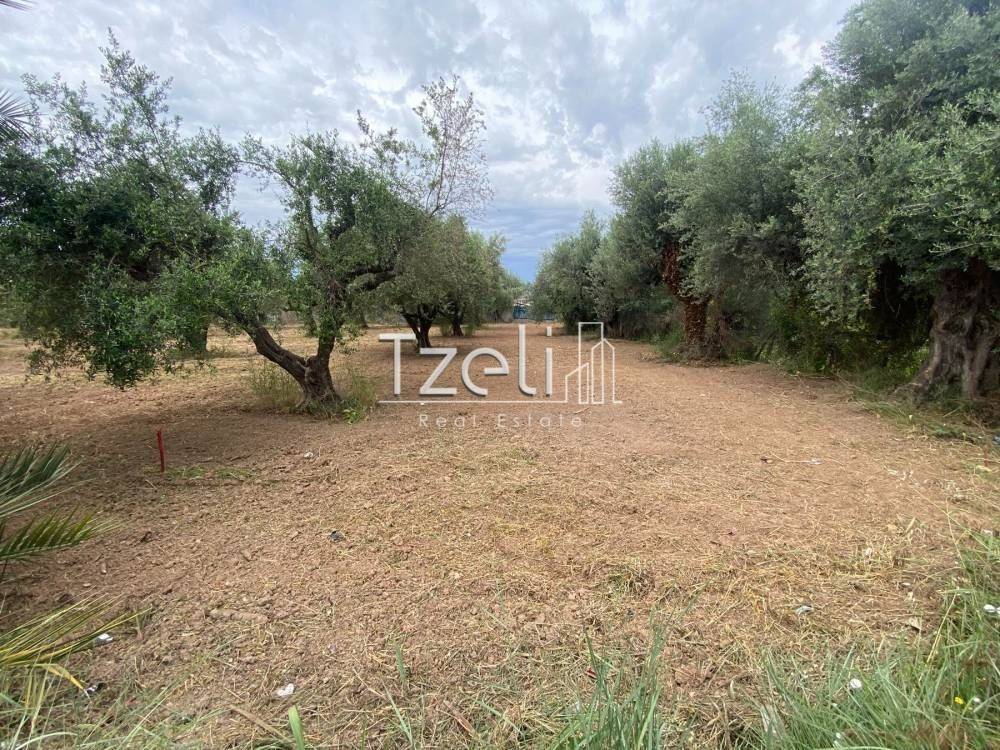 Άποψη οικοπέδου