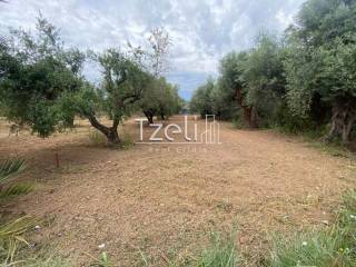 Άποψη οικοπέδου