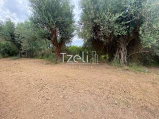 Άποψη οικοπέδου