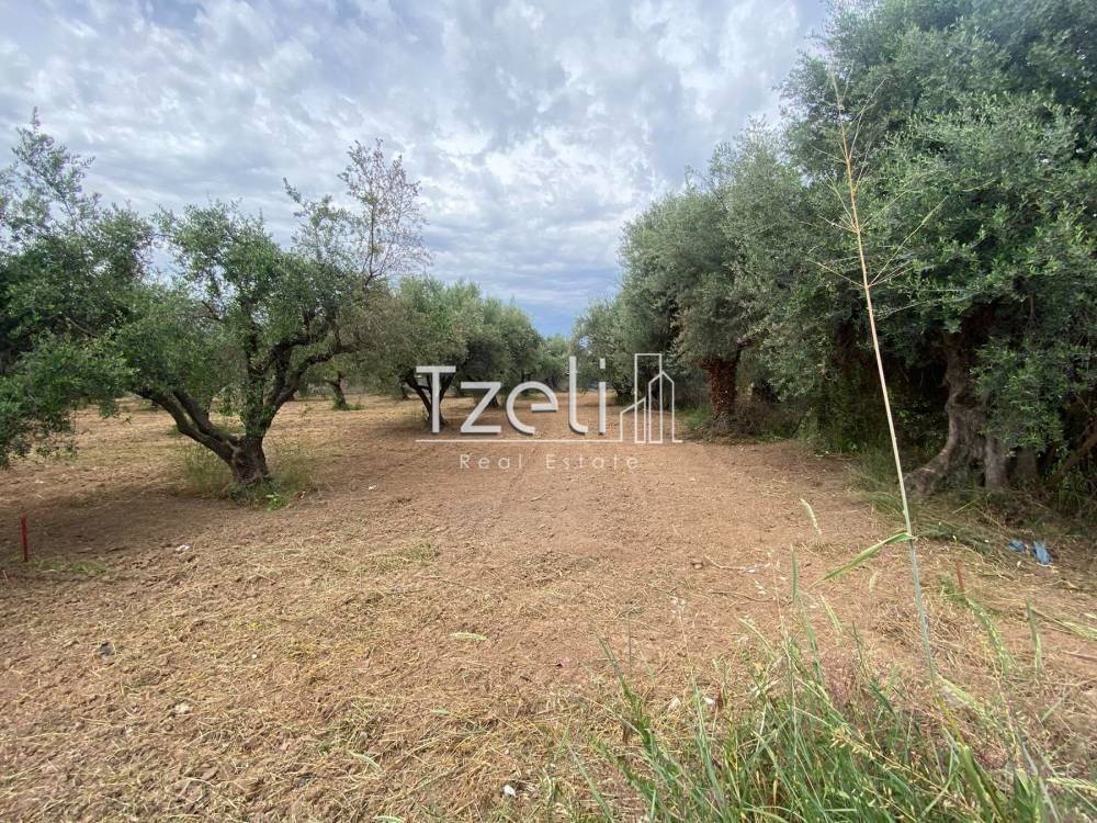 Άποψη οικοπέδου