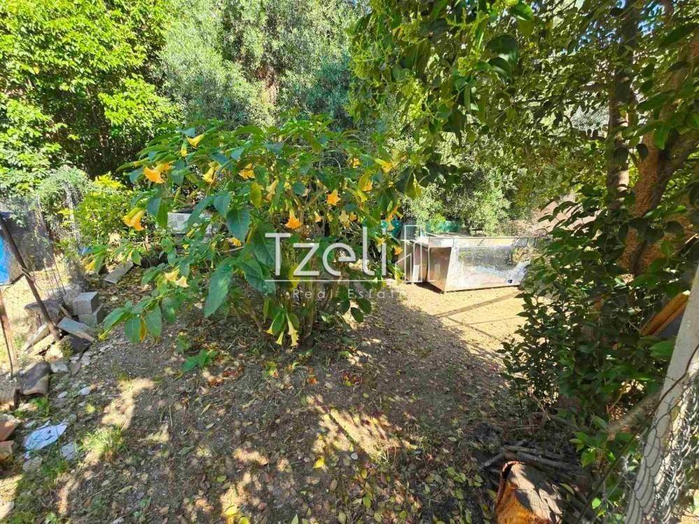 Άποψη οικοπέδου