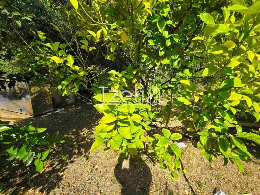 Άποψη οικοπέδου