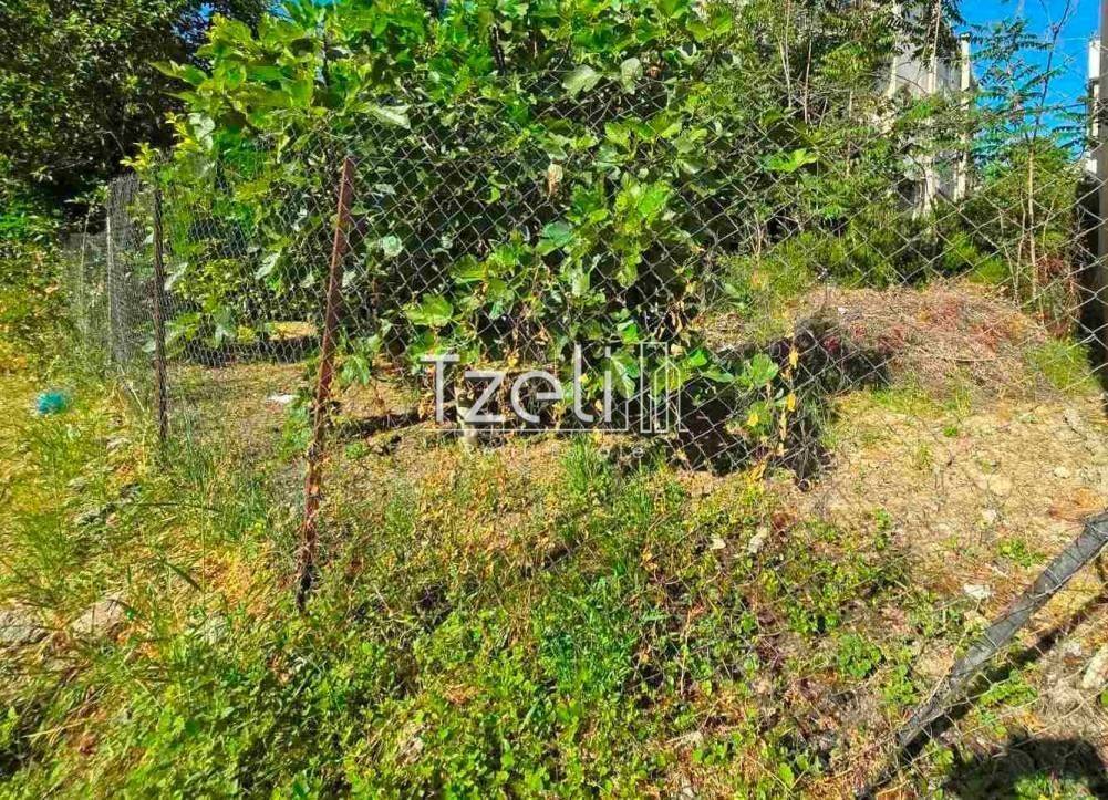 Άποψη οικοπέδου