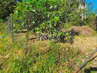 Άποψη οικοπέδου