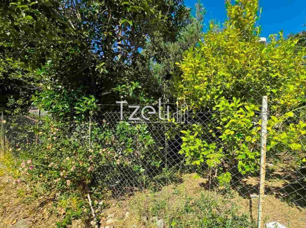 Άποψη οικοπέδου