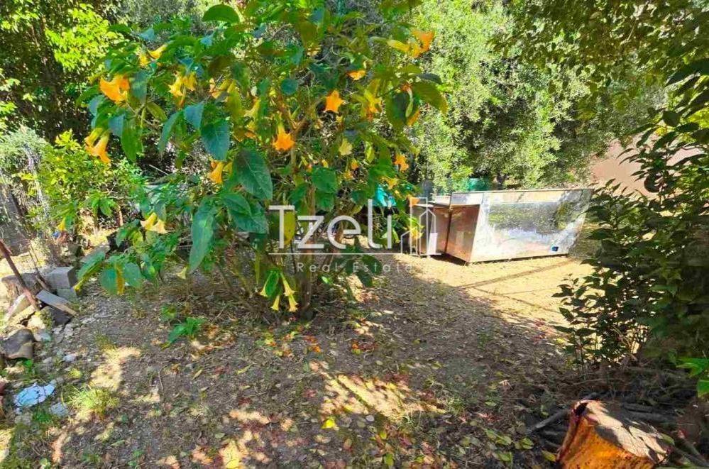 Άποψη οικοπέδου