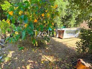 Άποψη οικοπέδου