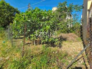 Άποψη οικοπέδου