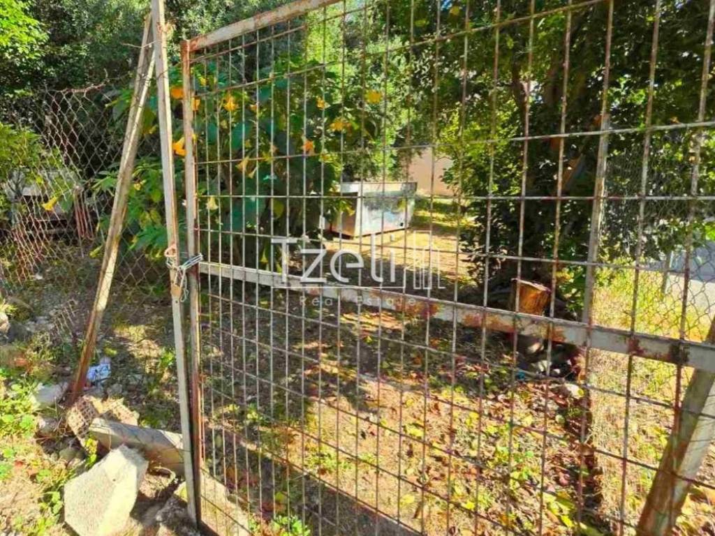 Άποψη οικοπέδου