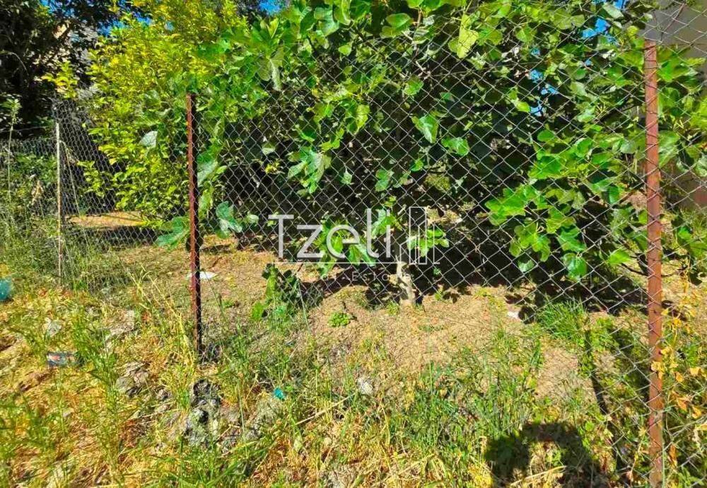 Άποψη οικοπέδου