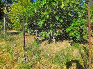 Άποψη οικοπέδου