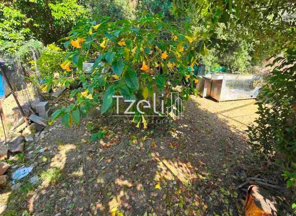 Άποψη οικοπέδου