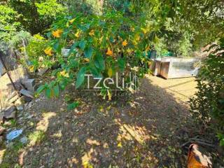 Άποψη οικοπέδου