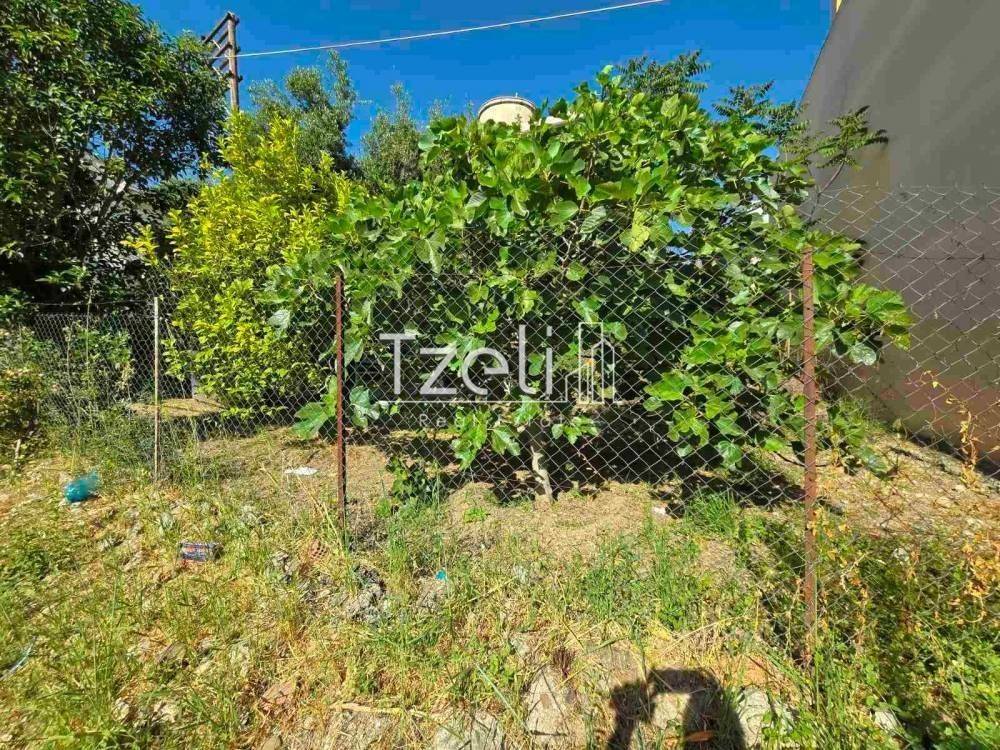 Άποψη οικοπέδου