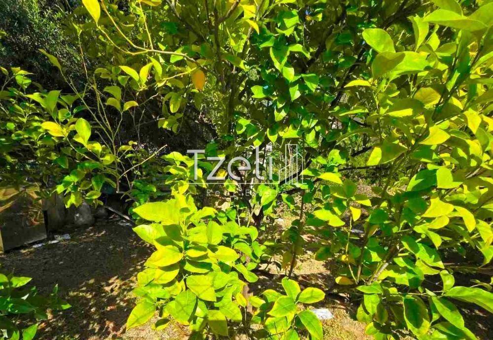 Άποψη οικοπέδου