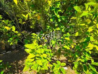 Άποψη οικοπέδου