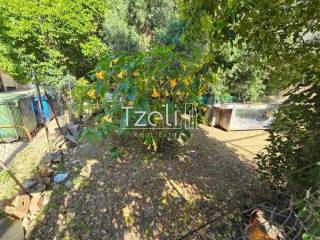 Άποψη οικοπέδου