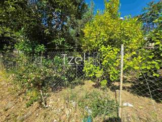 Άποψη οικοπέδου