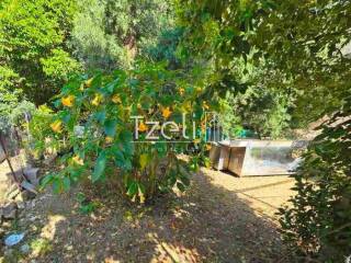 Άποψη οικοπέδου