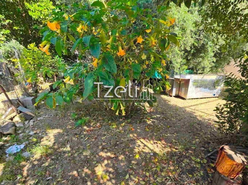 Άποψη οικοπέδου