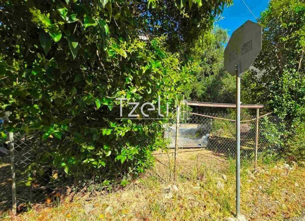 Άποψη οικοπέδου