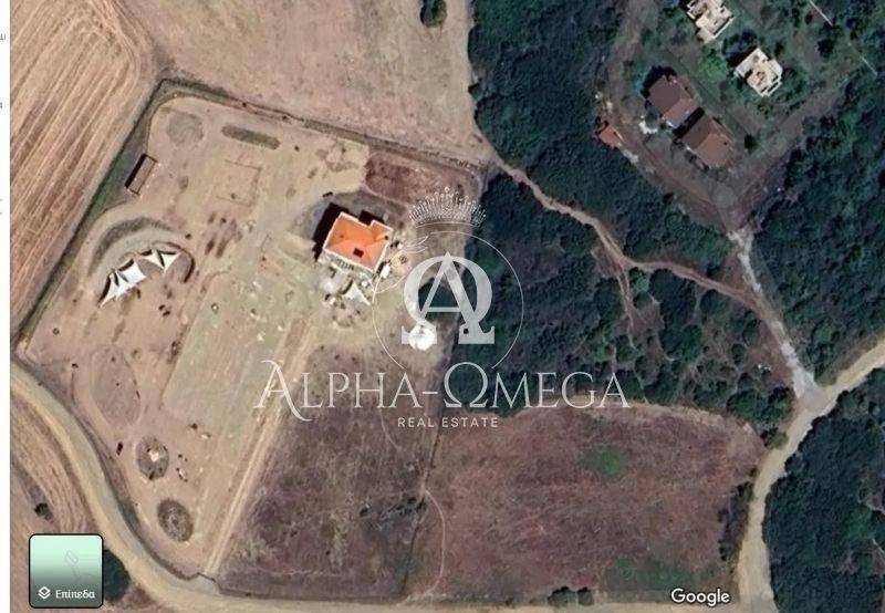 Ύπαρξη ανθρώπου