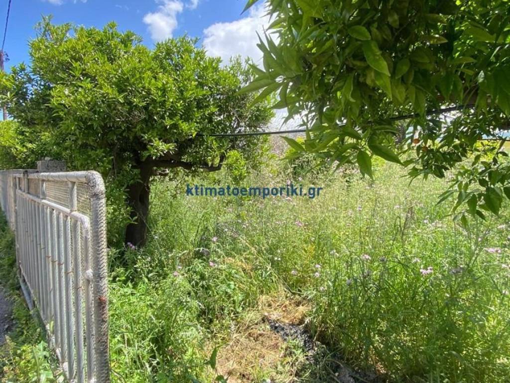 Εξωτερικοι χώροι