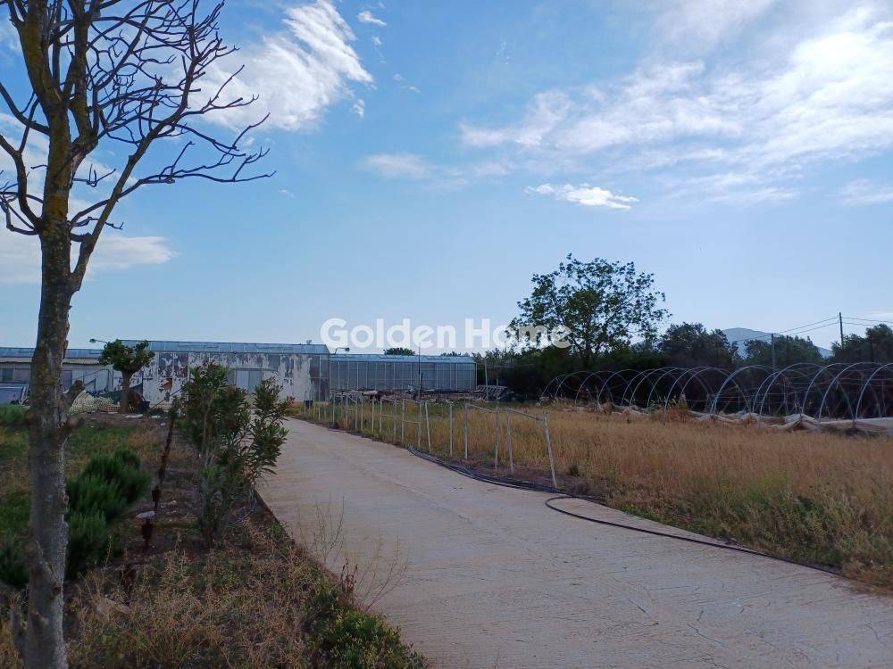 Εξωτερικός Χώρος