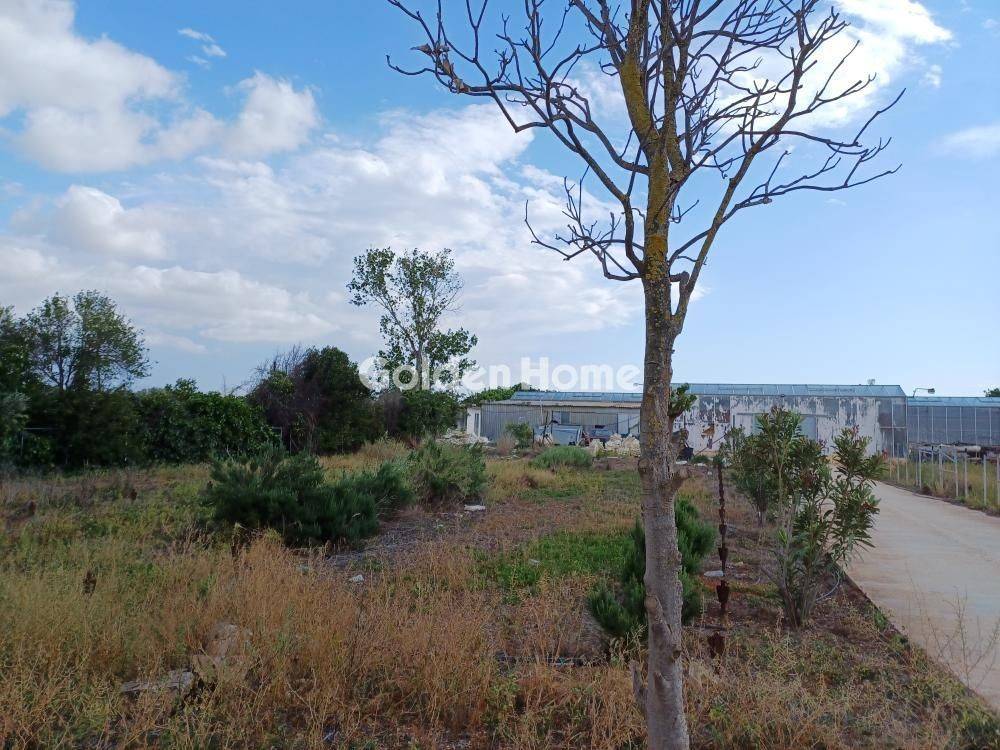 Εξωτερικός Χώρος