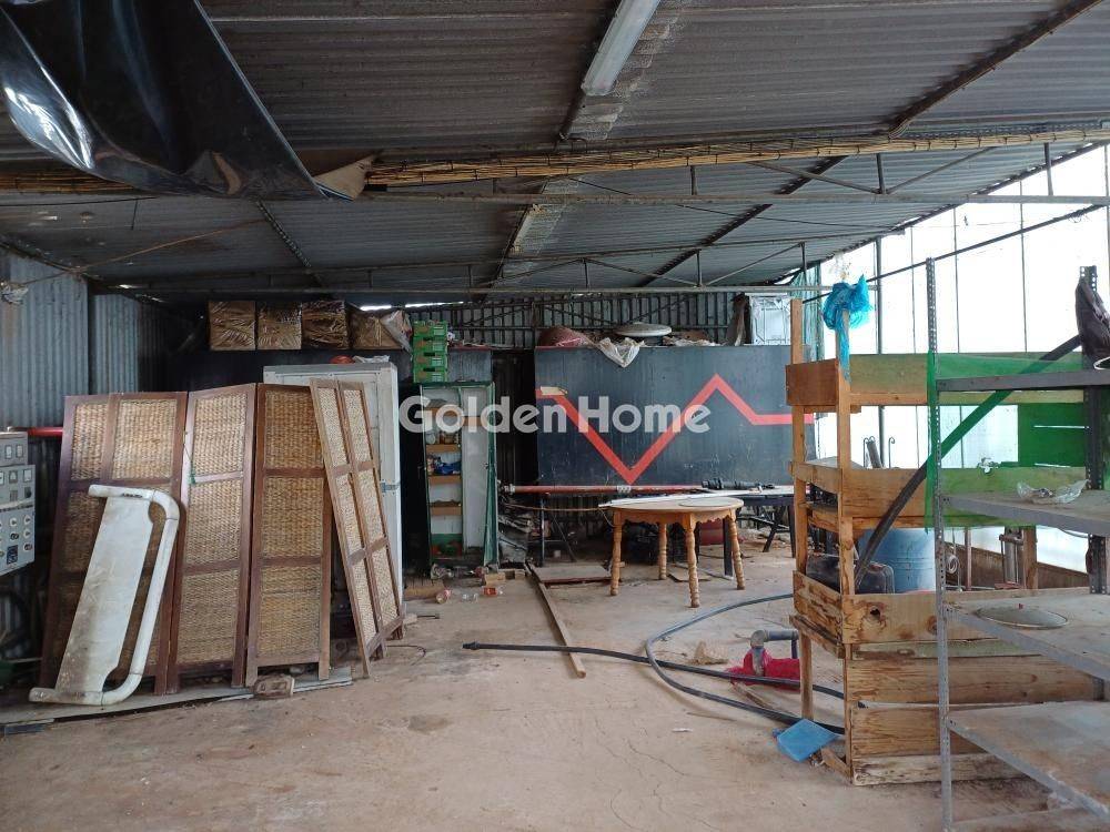 Κυρίως Χώρος