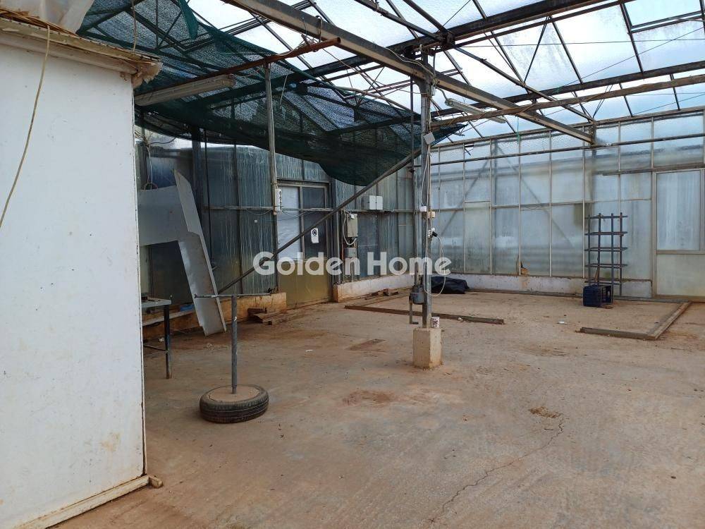 Κυρίως Χώρος