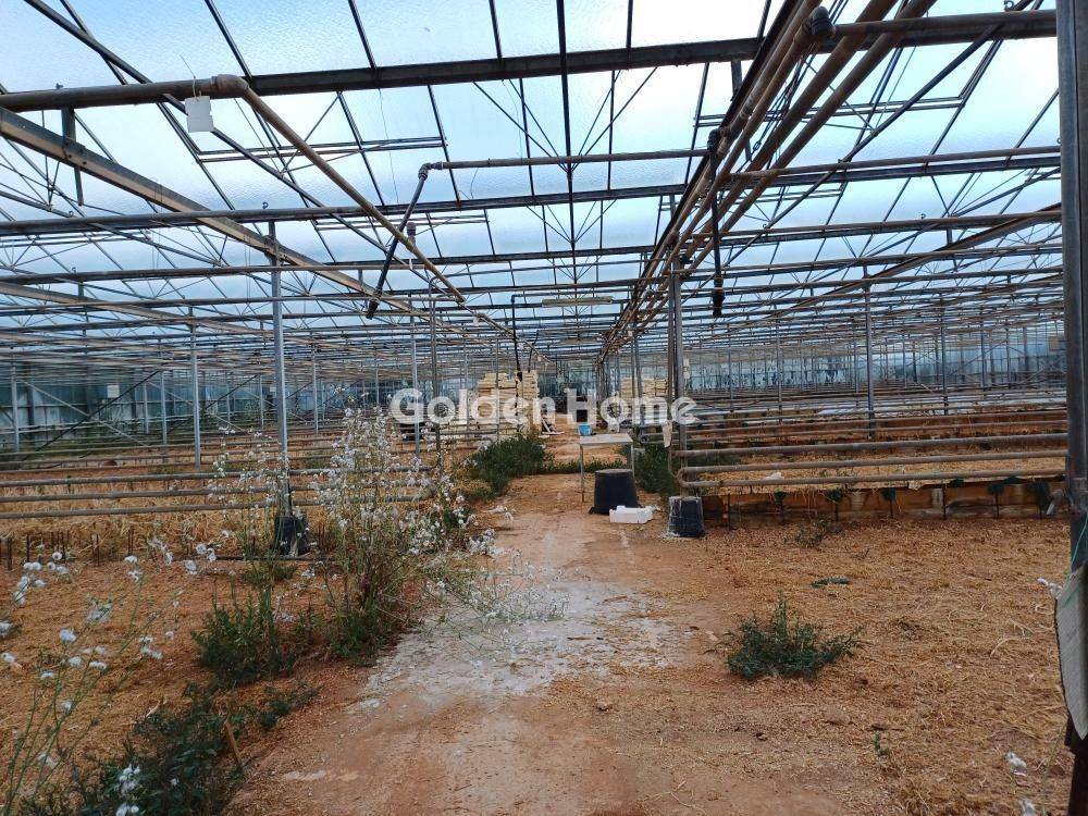 Εξωτερικός Χώρος