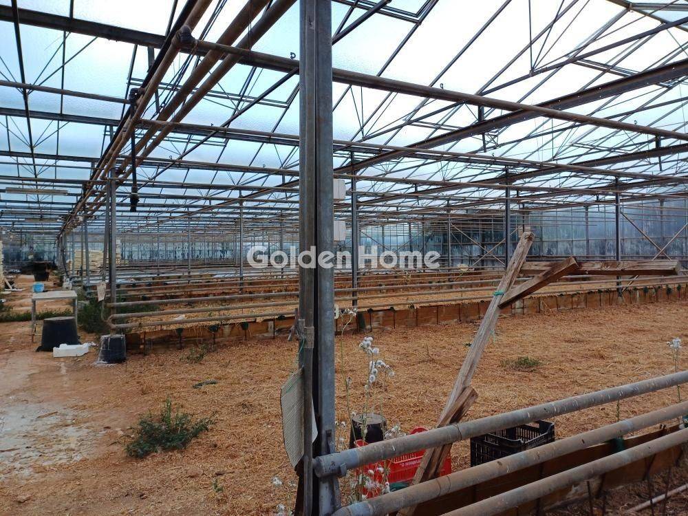 Εξωτερικός Χώρος