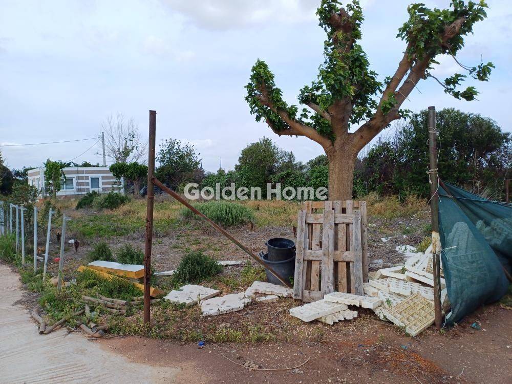 Εξωτερικός Χώρος