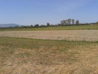 οικόπεδο - land