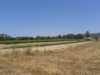 οικόπεδο - land