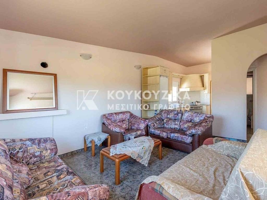 Σαλοκουζίνα