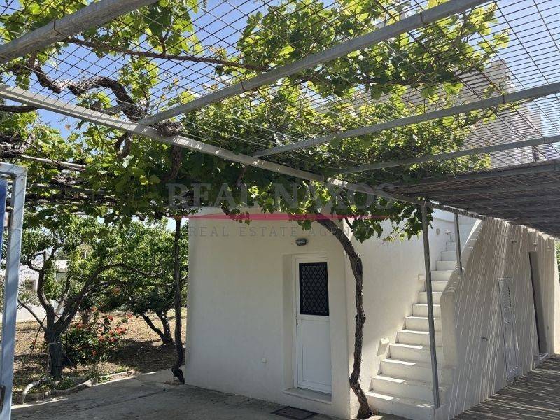 Exterior of the house