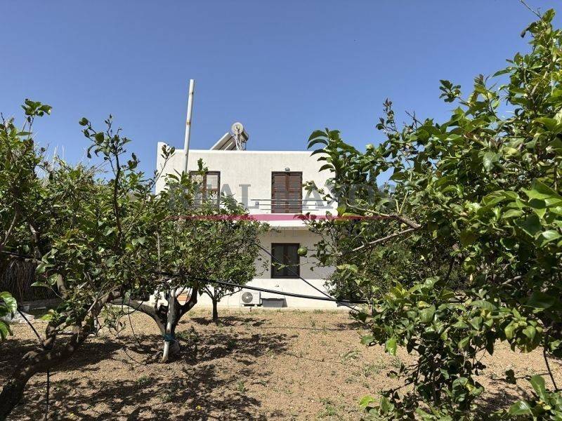 Exterior of the house