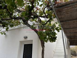 Exterior of the house