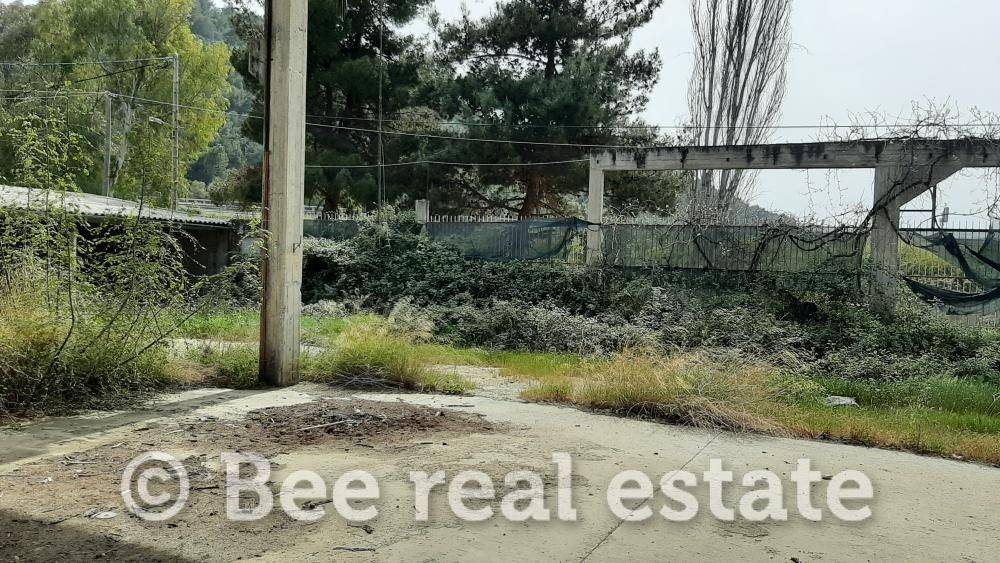 Άποψη εξωτερικού χώρου