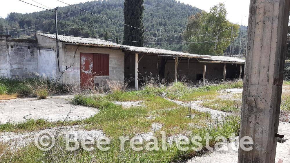 Άποψη εξωτερικού χώρου