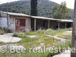 Άποψη εξωτερικού χώρου