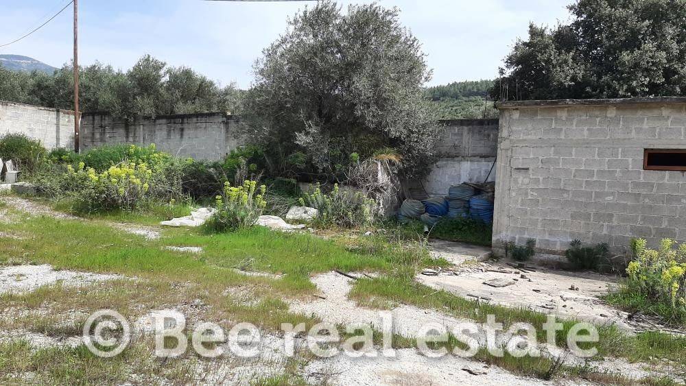 Άποψη εξωτερικού χώρου