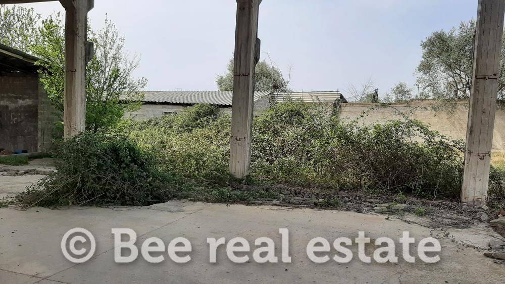 Άποψη εξωτερικού χώρου