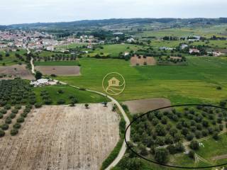 αεροφωτογραφία αγροτεμαχίου